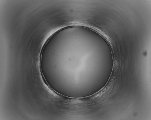 X0000101161239200807111021