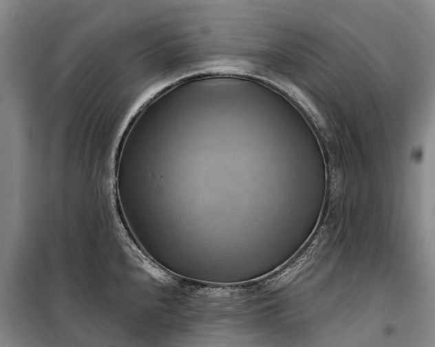 X0000101161240200807111021