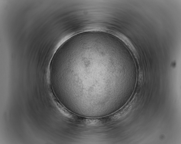 X0000101161242200807111021