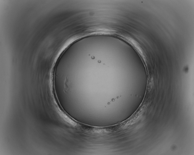 X0000101161243200807111021