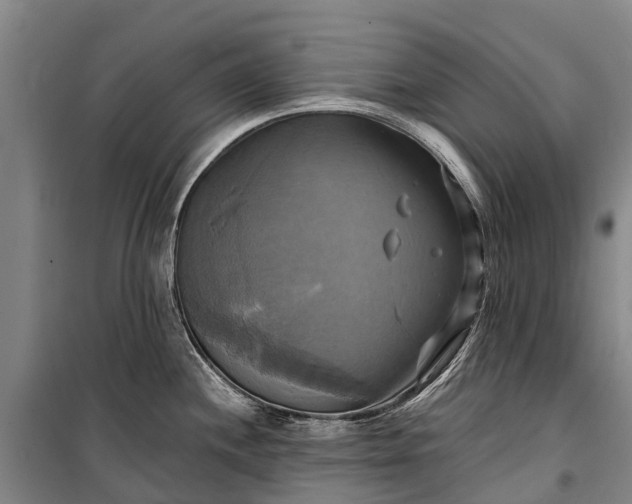 X0000101161244200807111021