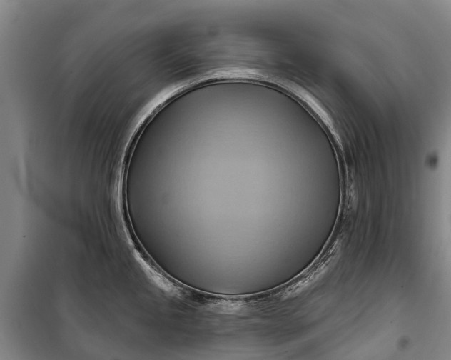 X0000101161245200807111021