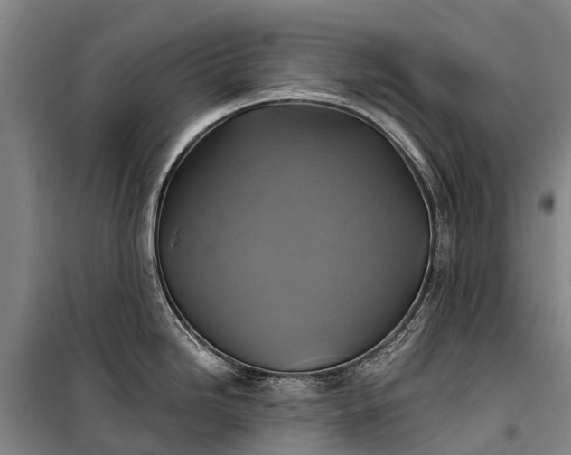 X0000101161246200807111021