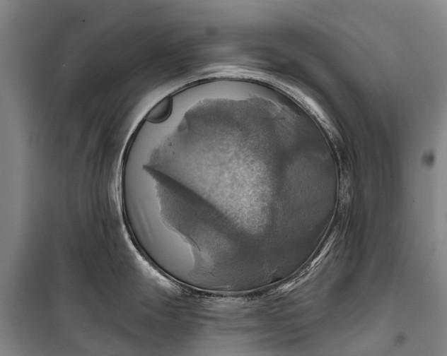 X0000101161247200807111021