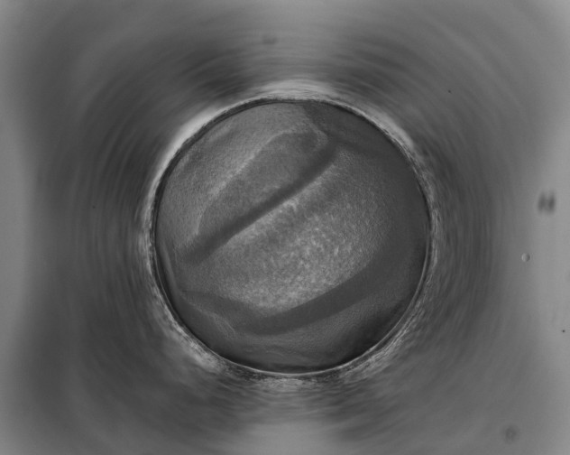 X0000101161248200807111021