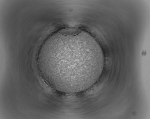 X0000101161249200807111020