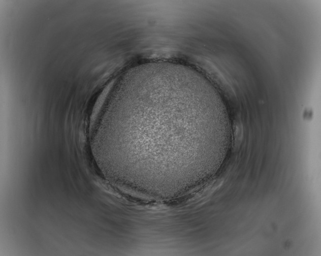 X0000101161250200807111020