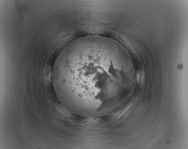 X0000101161251200807111020