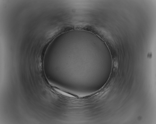 X0000101161252200807111020