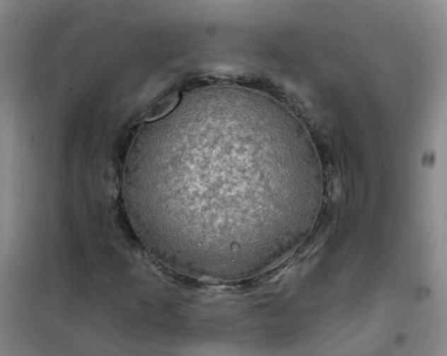 X0000101161253200807111020