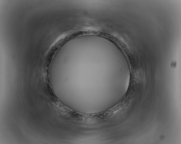 X0000101161254200807111020