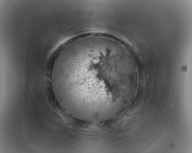 X0000101161255200807111020