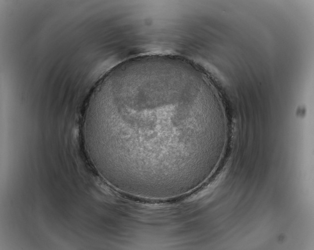 X0000101161257200807111020