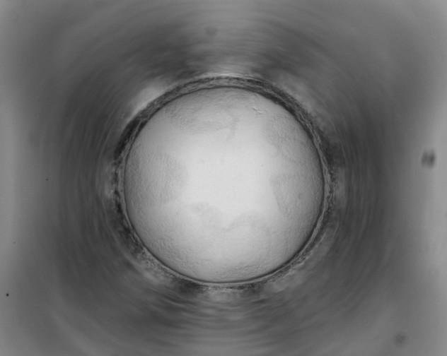 X0000101161258200807111020