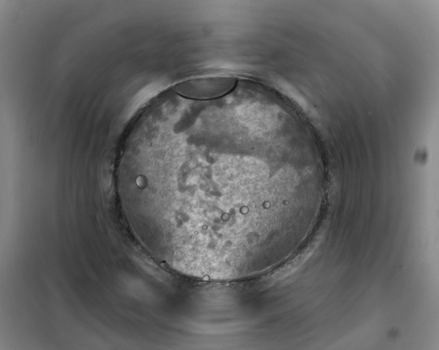 X0000101161259200807111020