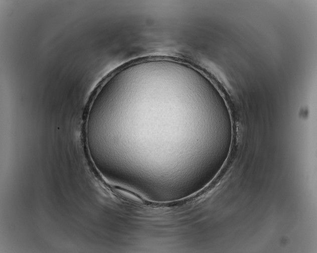 X0000101161260200807111020