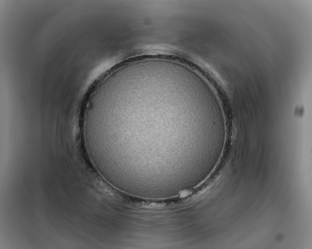 X0000101161261200807111020