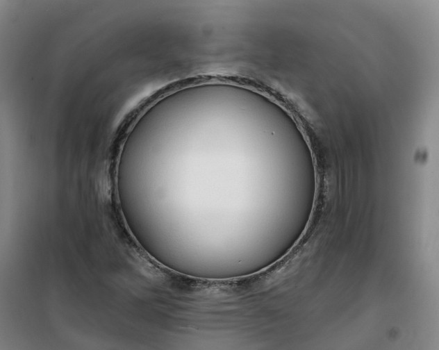 X0000101161262200807111020