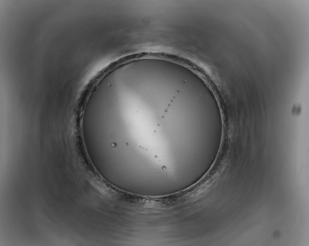 X0000101161263200807111020