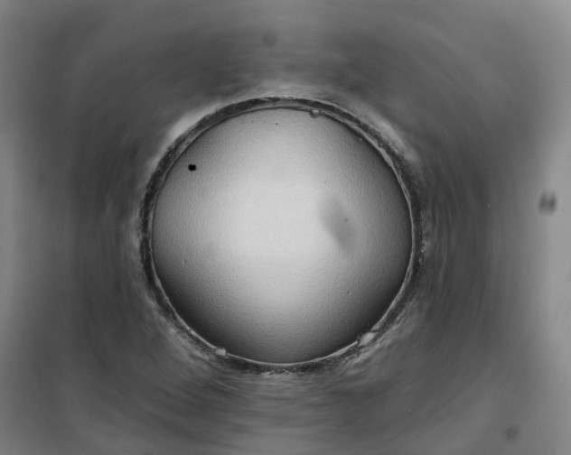 X0000101161264200807111020