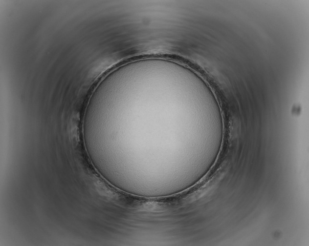 X0000101161265200807111020