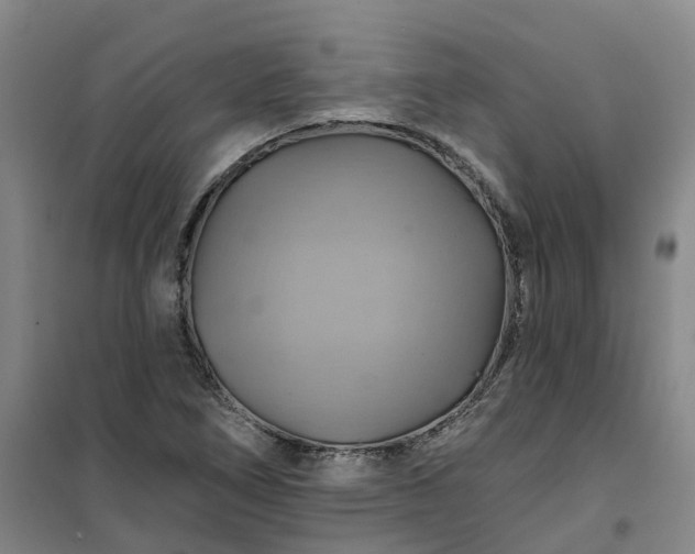 X0000101161266200807111020