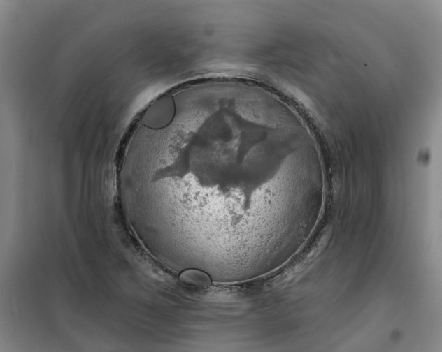 X0000101161267200807111020