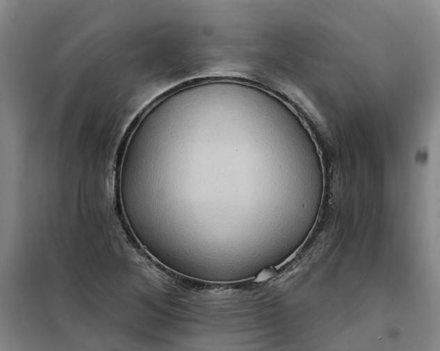 X0000101161268200807111020