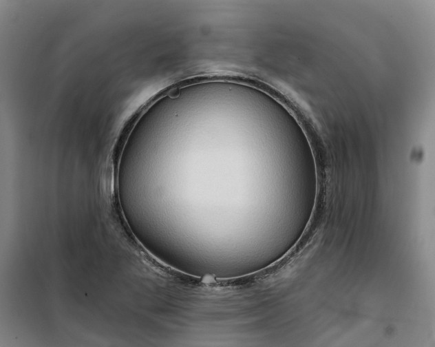 X0000101161269200807111020