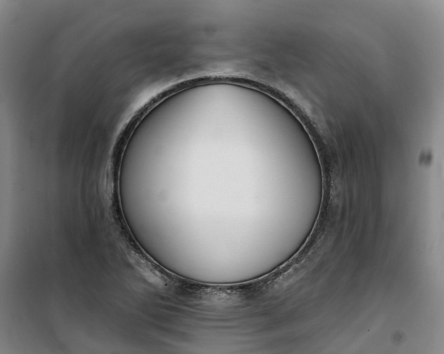 X0000101161270200807111020