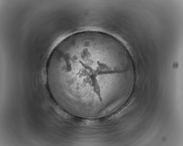 X0000101161271200807111020