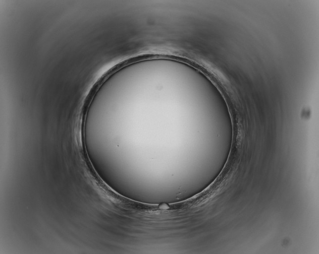 X0000101161272200807111020