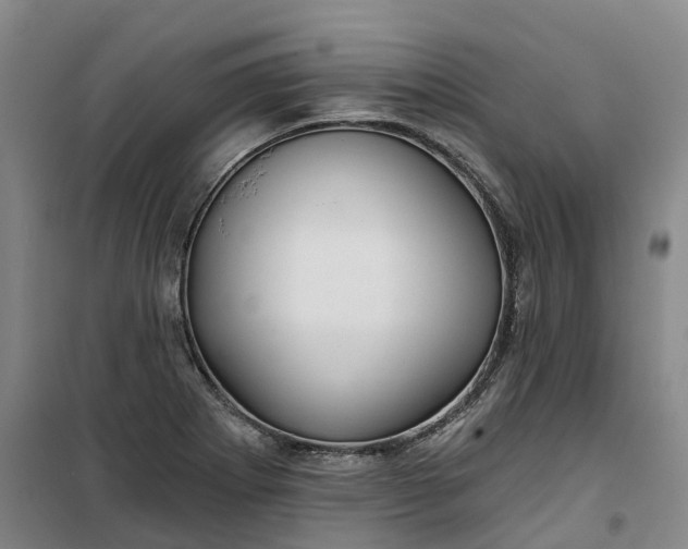 X0000101161273200807111020