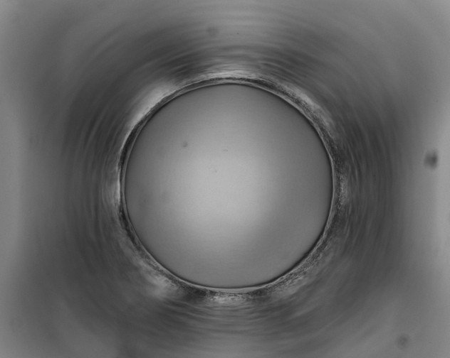 X0000101161274200807111020