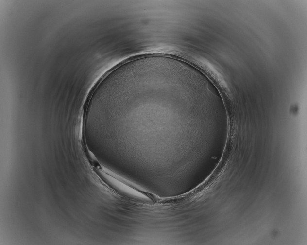 X0000101161276200807111020