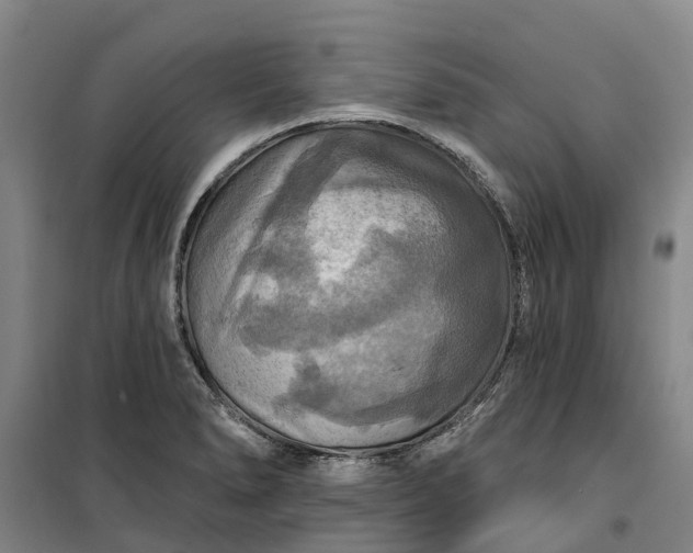 X0000101161278200807111020