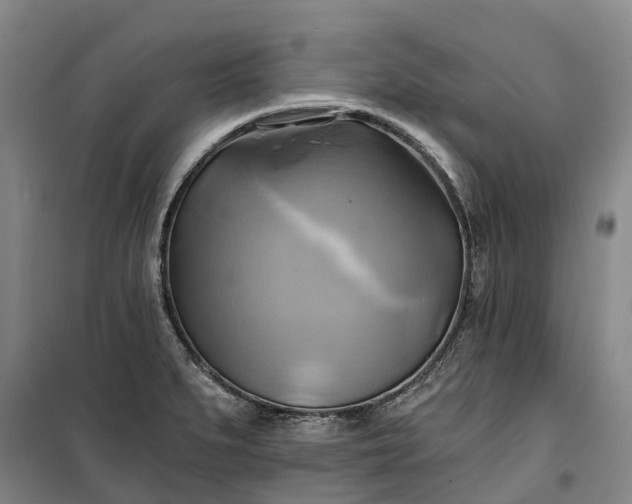 X0000101161279200807111020