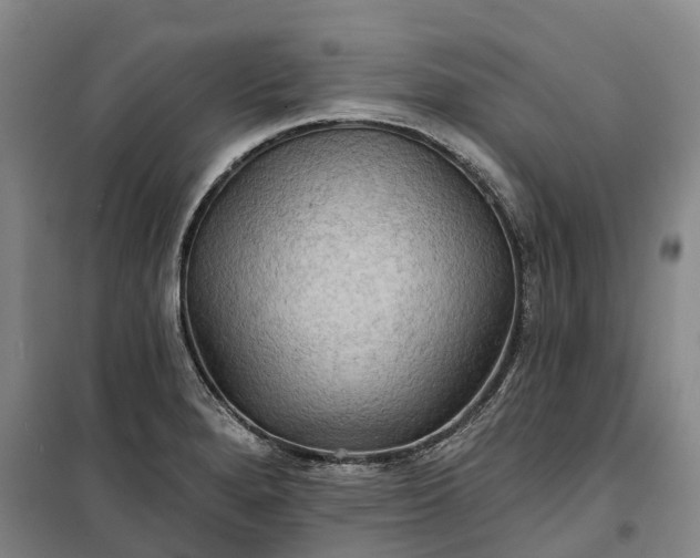 X0000101161280200807111020