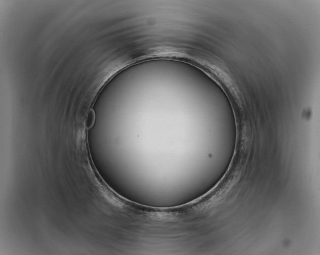 X0000101161281200807111020