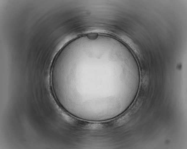 X0000101161282200807111020