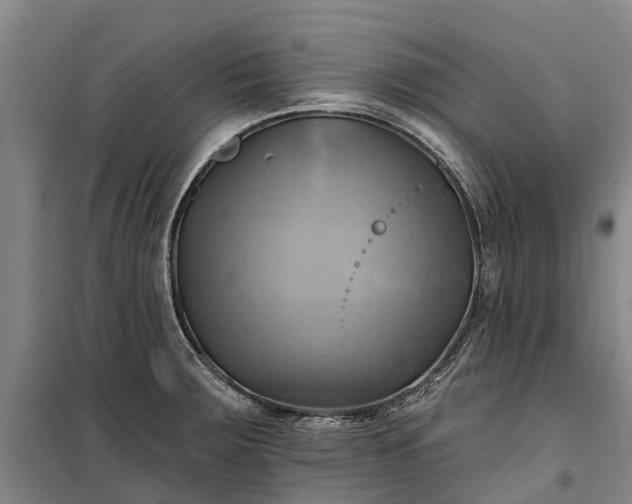 X0000101161283200807111020