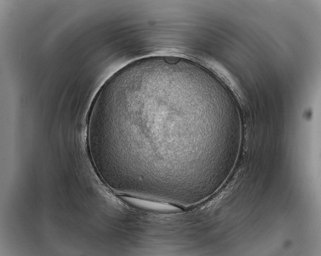 X0000101161284200807111020