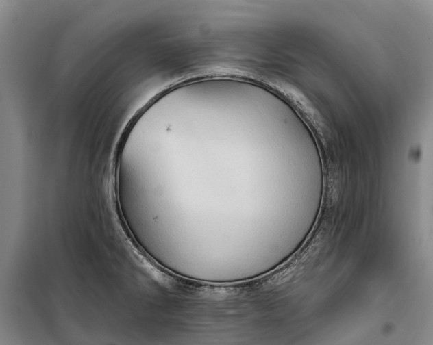 X0000101161286200807111020