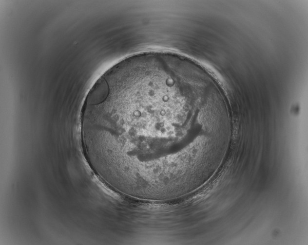 X0000101161287200807111020