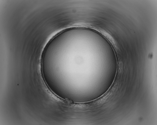 X0000101161288200807111020