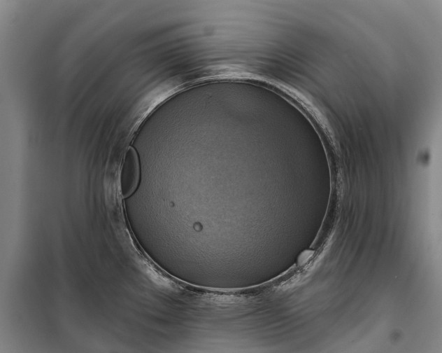 X0000101161289200807111020