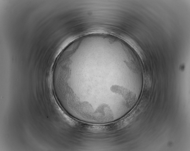 X0000101161290200807111020