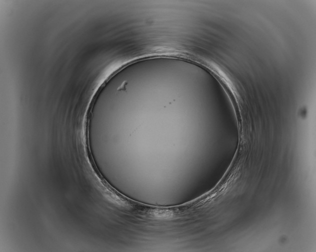 X0000101161291200807111020