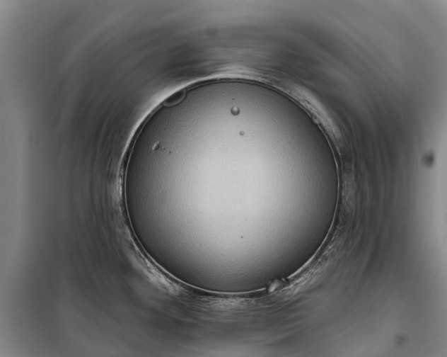 X0000101161292200807111020