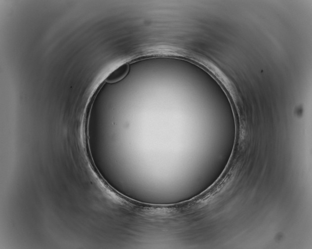 X0000101161293200807111020